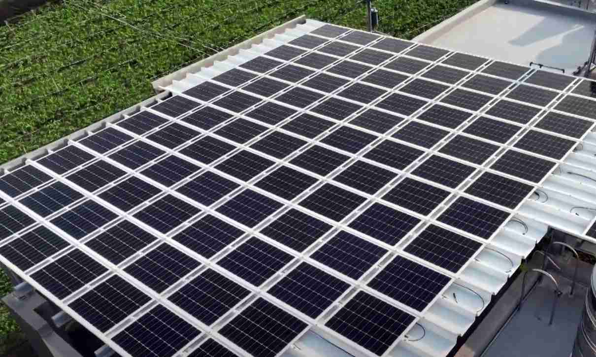 CG电子SunSteel光电浪板升级双玻结构，，，，以提升机械负载强度及气候耐候度，，，，可广泛运用于多元场域