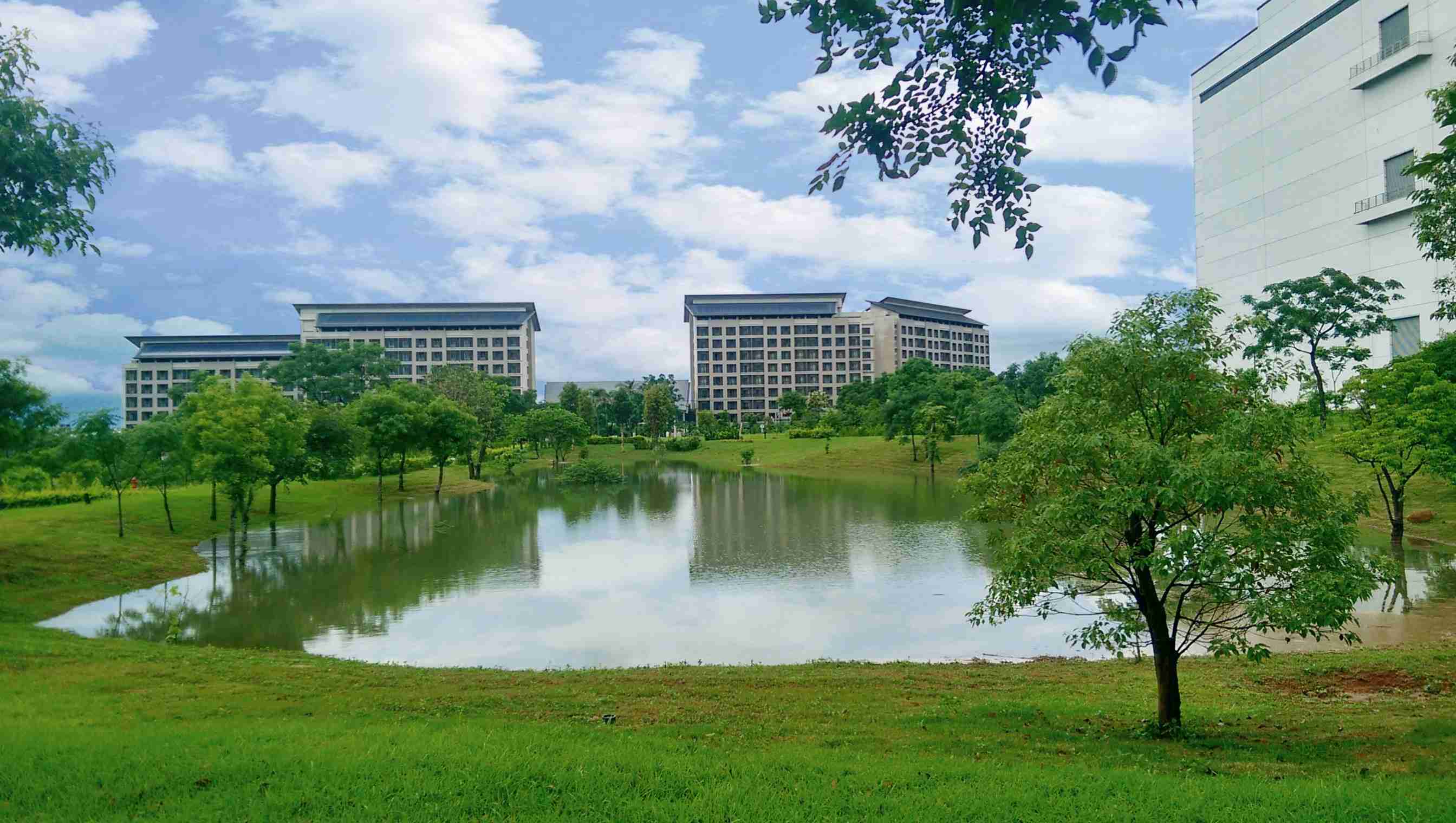 CG电子响应国际倡议生物多样性趋势，，，首次发布TNFD自然相关财务揭露报告书，，擘划及开展CG电子生物多样性政策之承诺，，，，逐步迈向与自然和谐共生